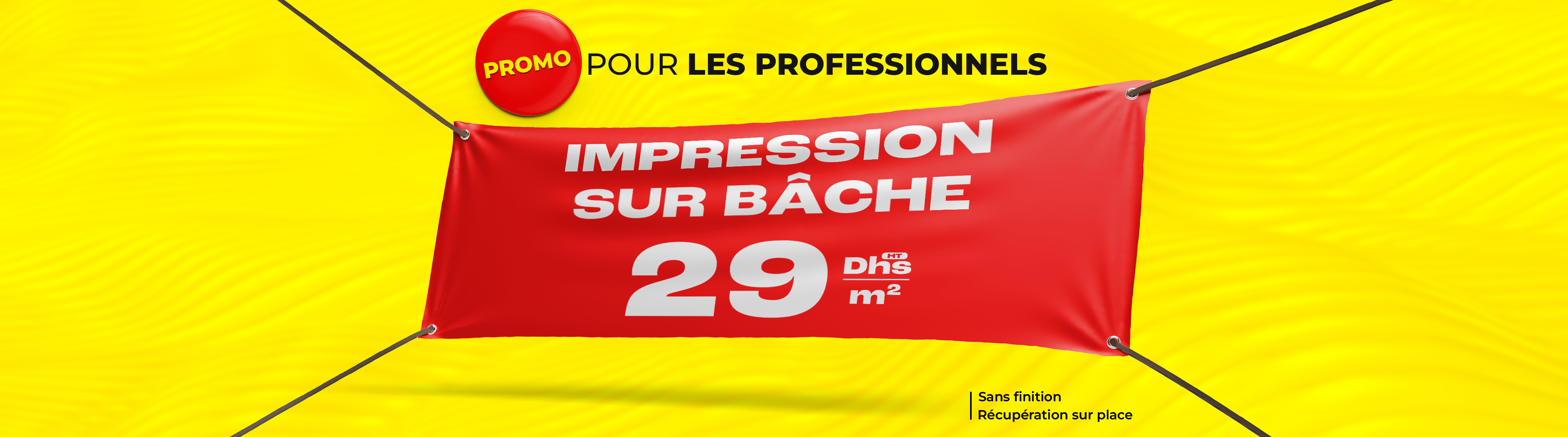 Promo Bache pro